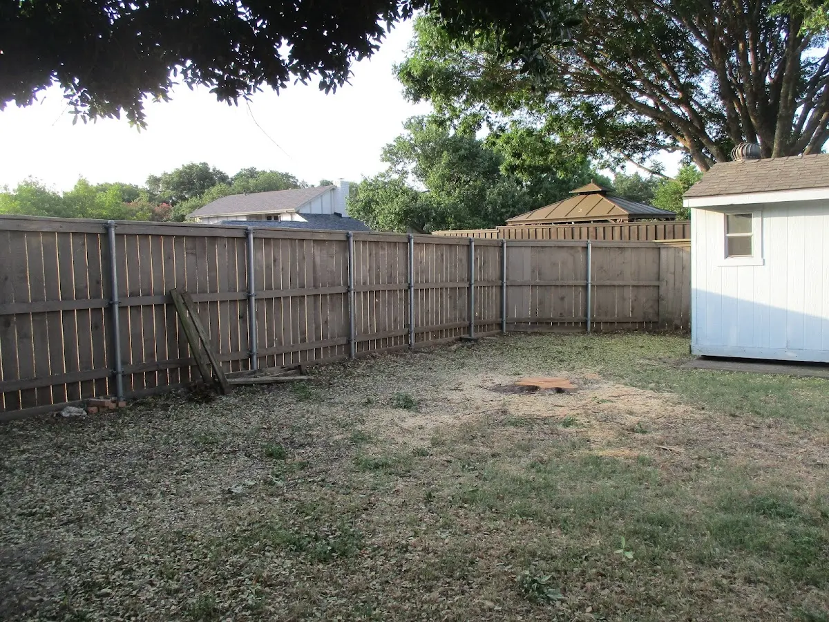 Cleared yard after professional tree removal in Phil Campbell
